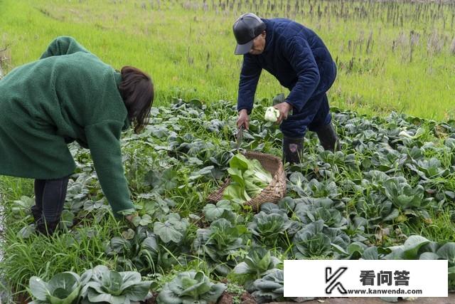 2022上海寒假中小学放假时间？