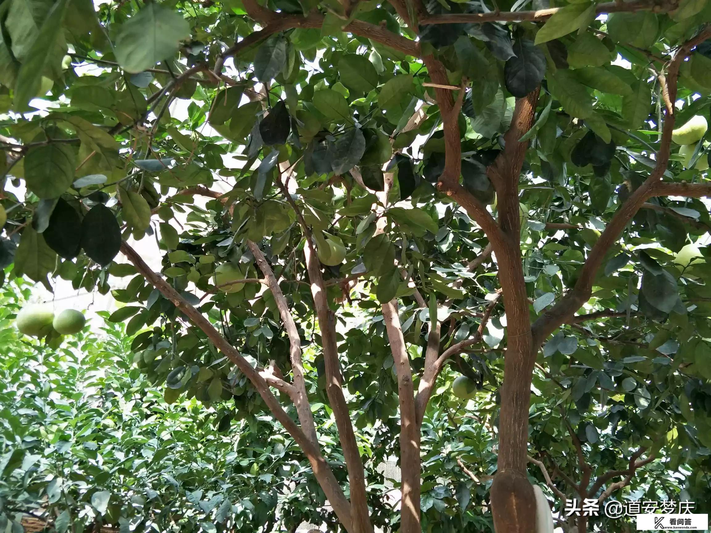 全国旅游景点最佳旅游时间? 全国旅游景点最佳旅游时间?