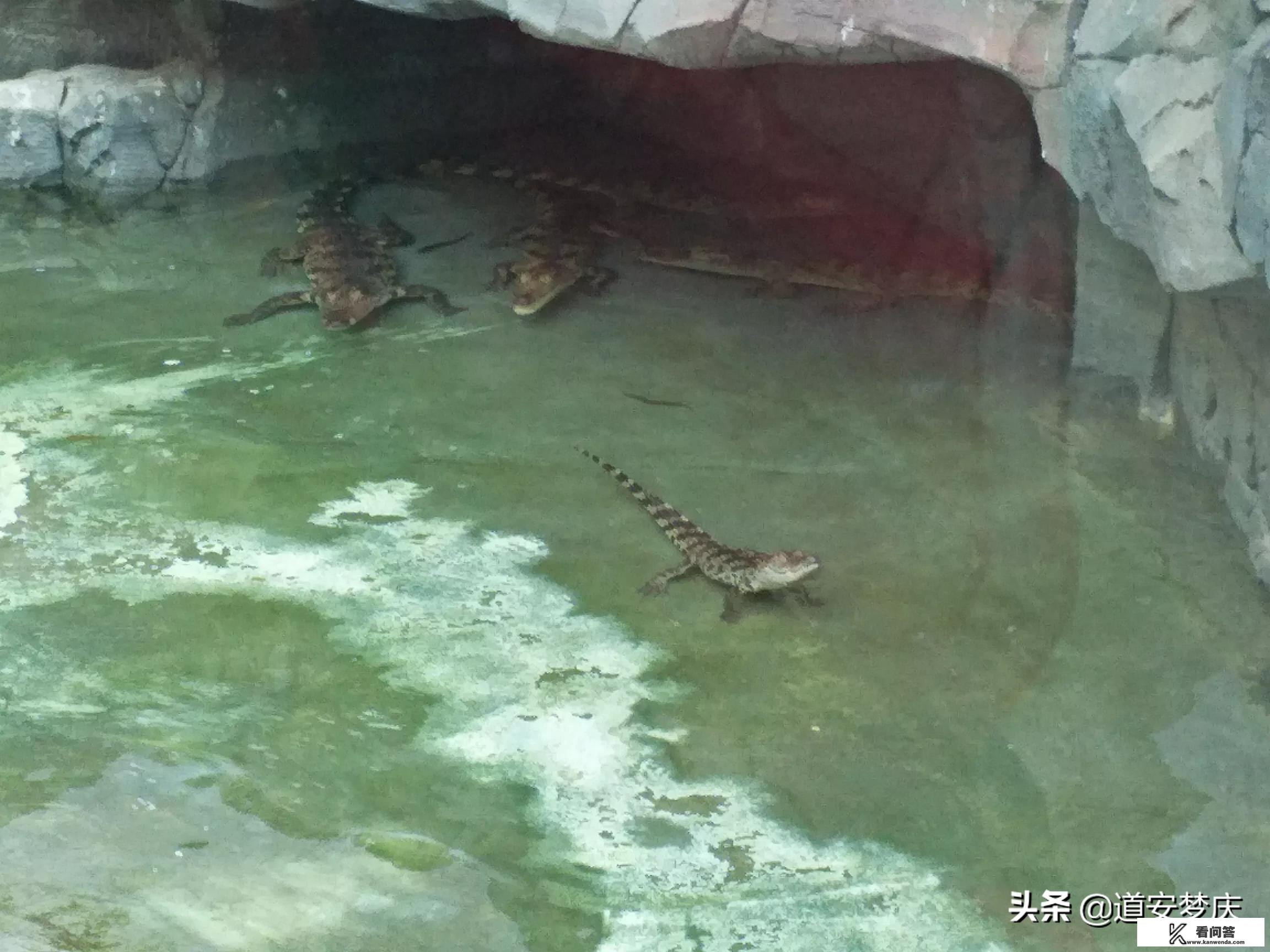 全国旅游景点最佳旅游时间? 全国旅游景点最佳旅游时间?