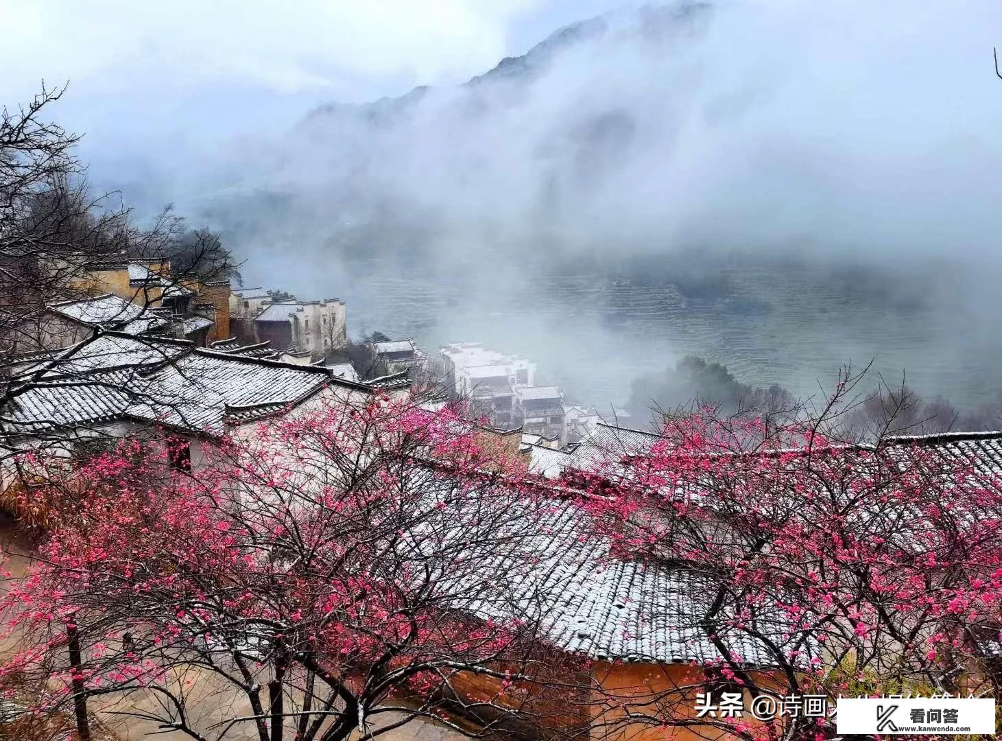 未来的旅游将以什么方式为主？