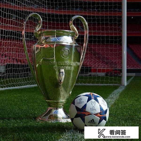 c罗在尤文欧冠进球数？