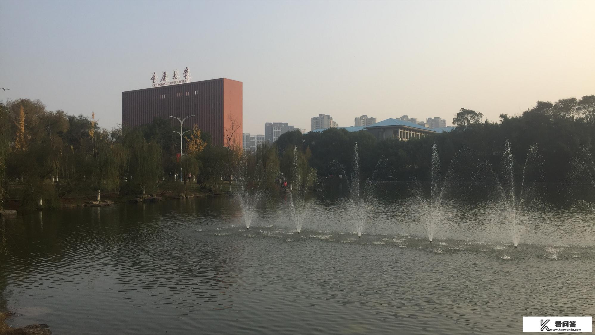 重庆大学的王牌专业是哪个？