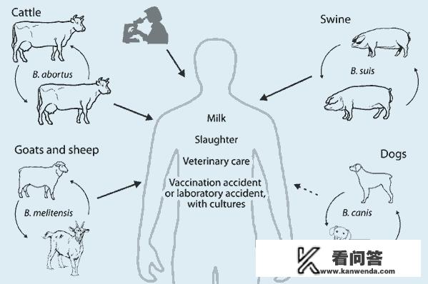 龙性淫，与很多种动物交生下了不同的后代请问是那些？