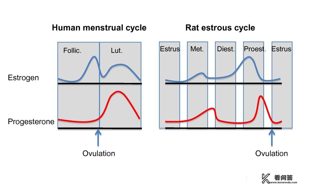 龙性淫，与很多种动物交生下了不同的后代请问是那些？