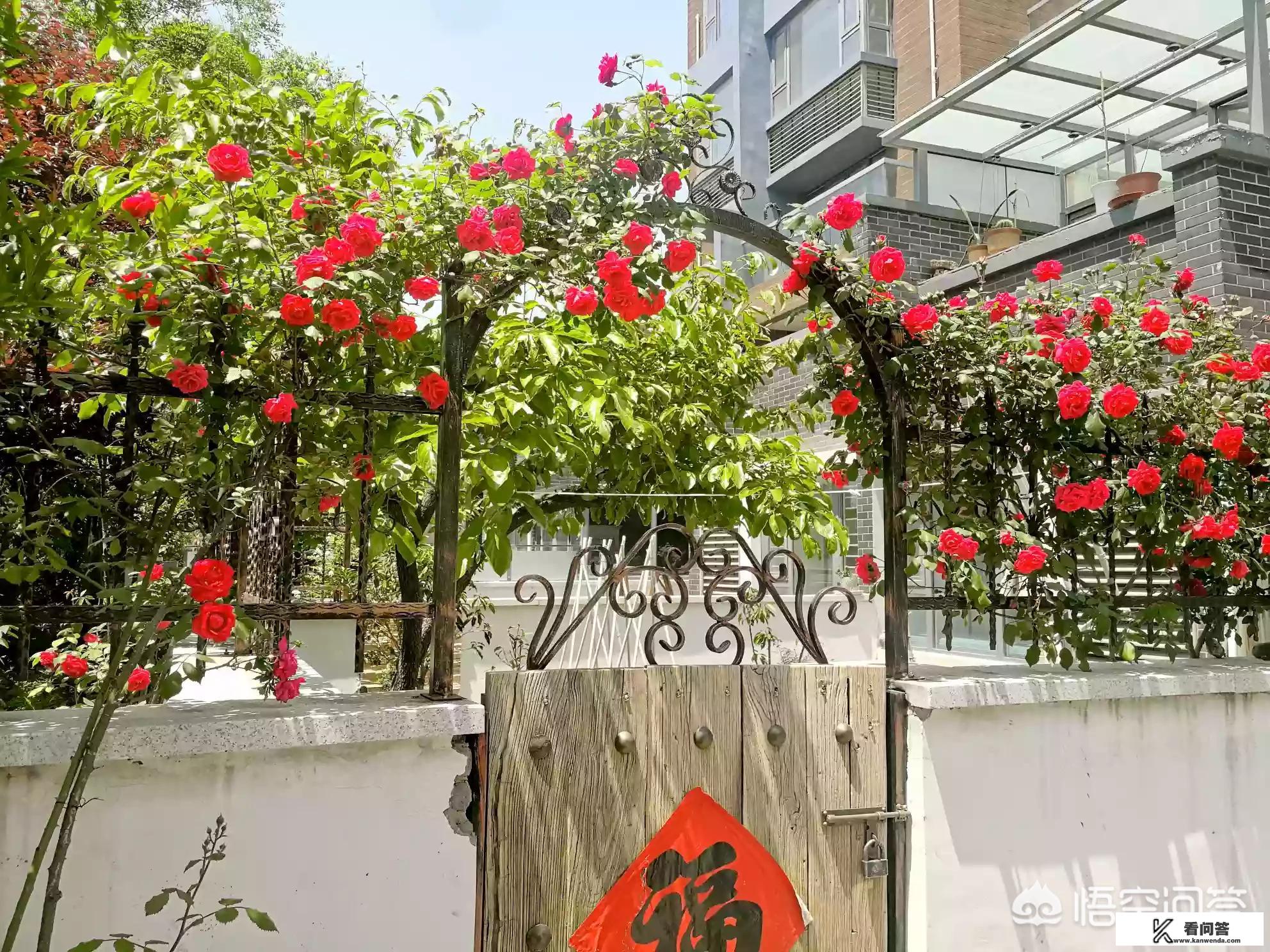 夫妻出去旅游费用怎么分担？