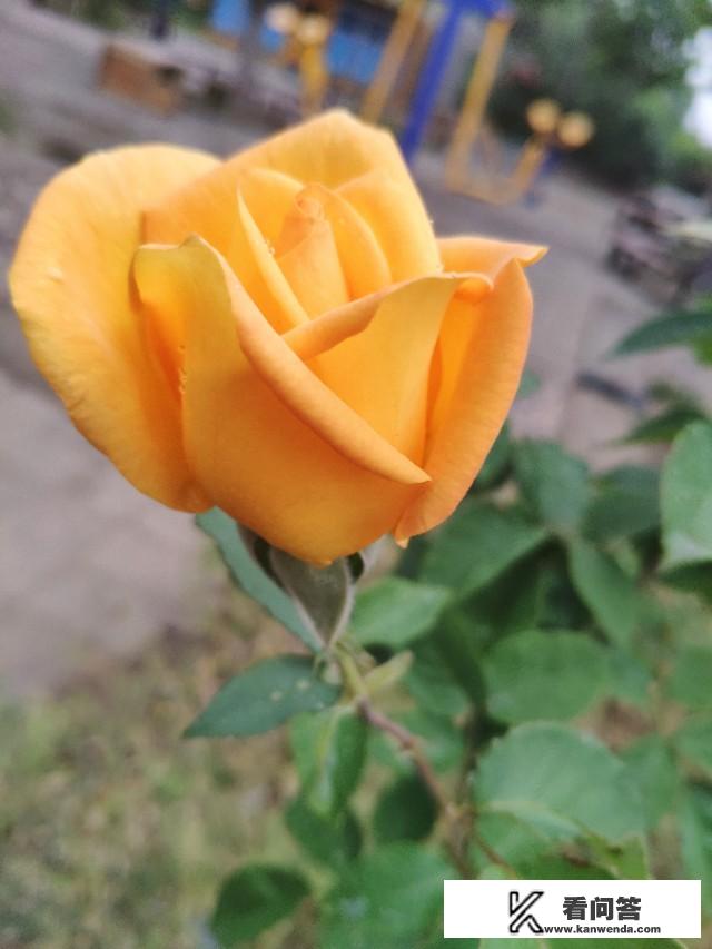 分享：怎么把旅游拍到的照片做成视频？