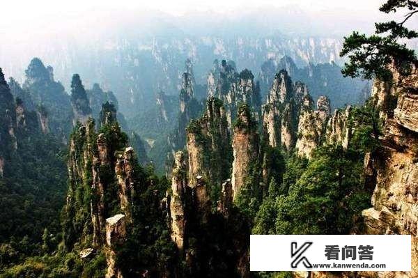 促进旅游的外在与外部因素? 促进旅游的外在与外部因素?