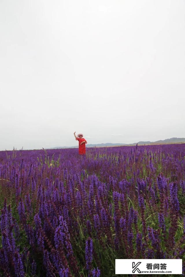 出去旅行途中感觉不好还应该继续吗？