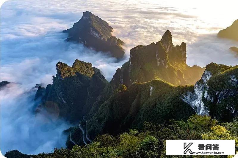 什么样的人会去旅游？