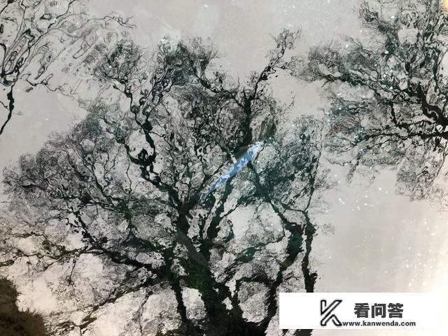 如何做旅游的计划？