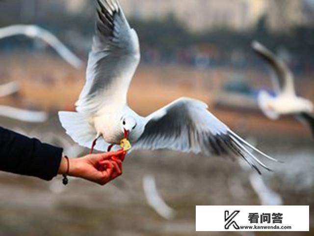 面对旅游中的小插曲