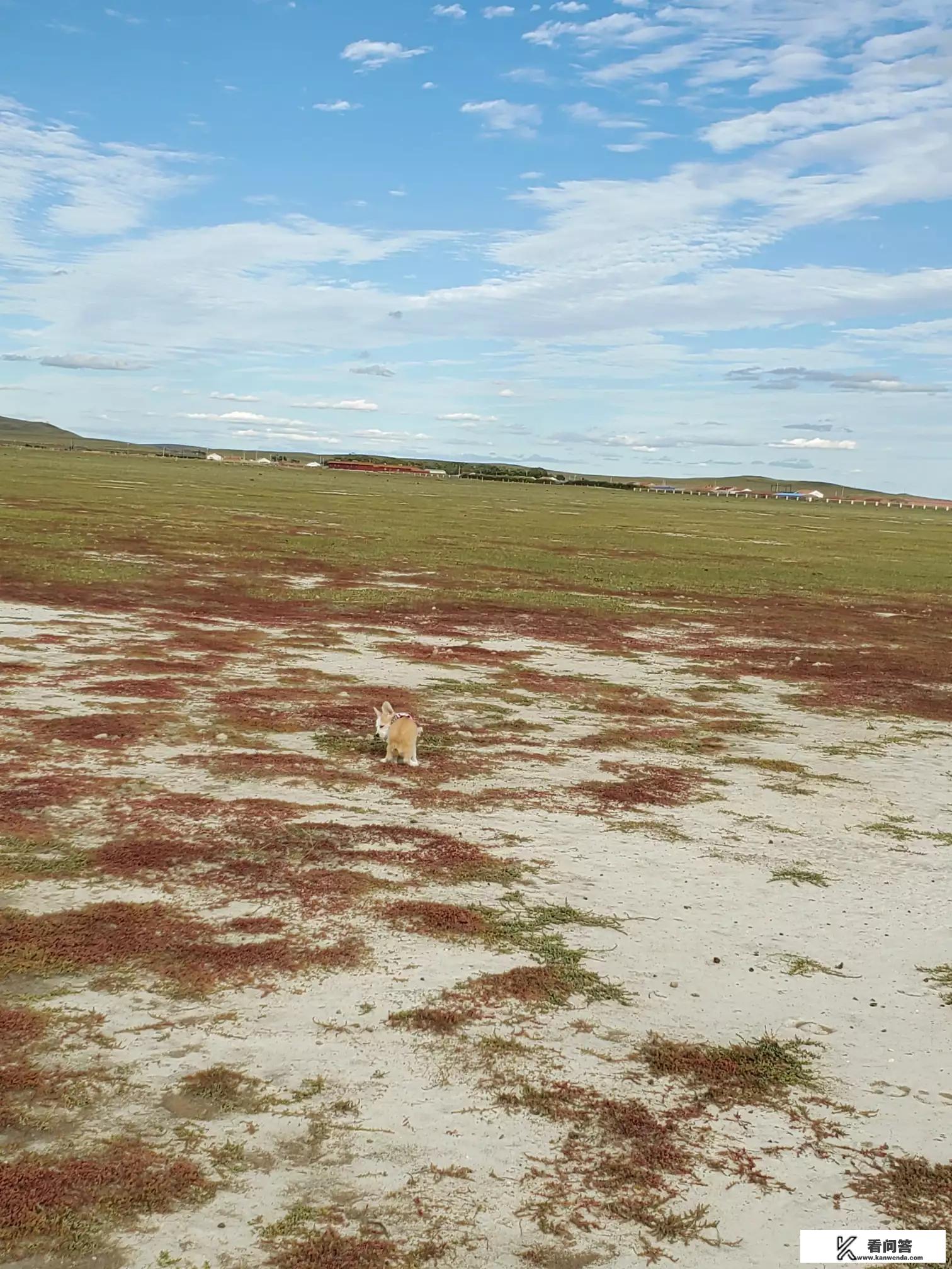 面对旅游中的小插曲