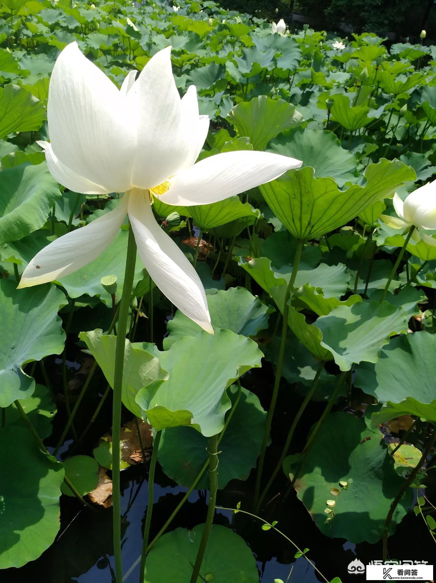 中国旅游业是由哪三大部分？