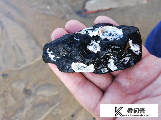 如何写旅游计划？