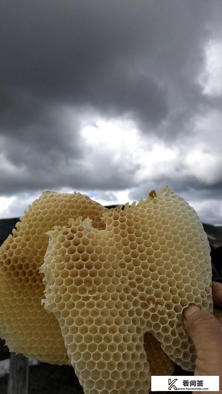 网购的巢础有两种，一种草绿色透明的，一种蛋黄色的。哪种质量最好？