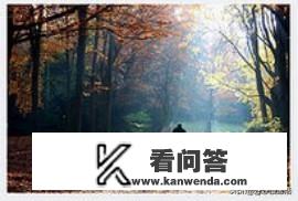 父88岁.母82岁.三个儿子在不同城市工作无人照顾怎么办？