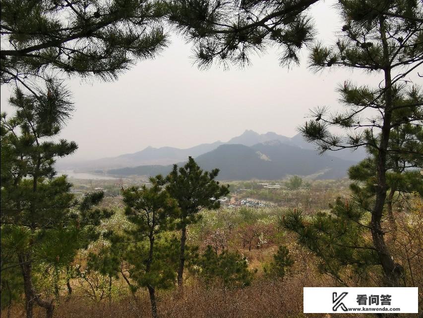 春天可以外出游玩做什么？