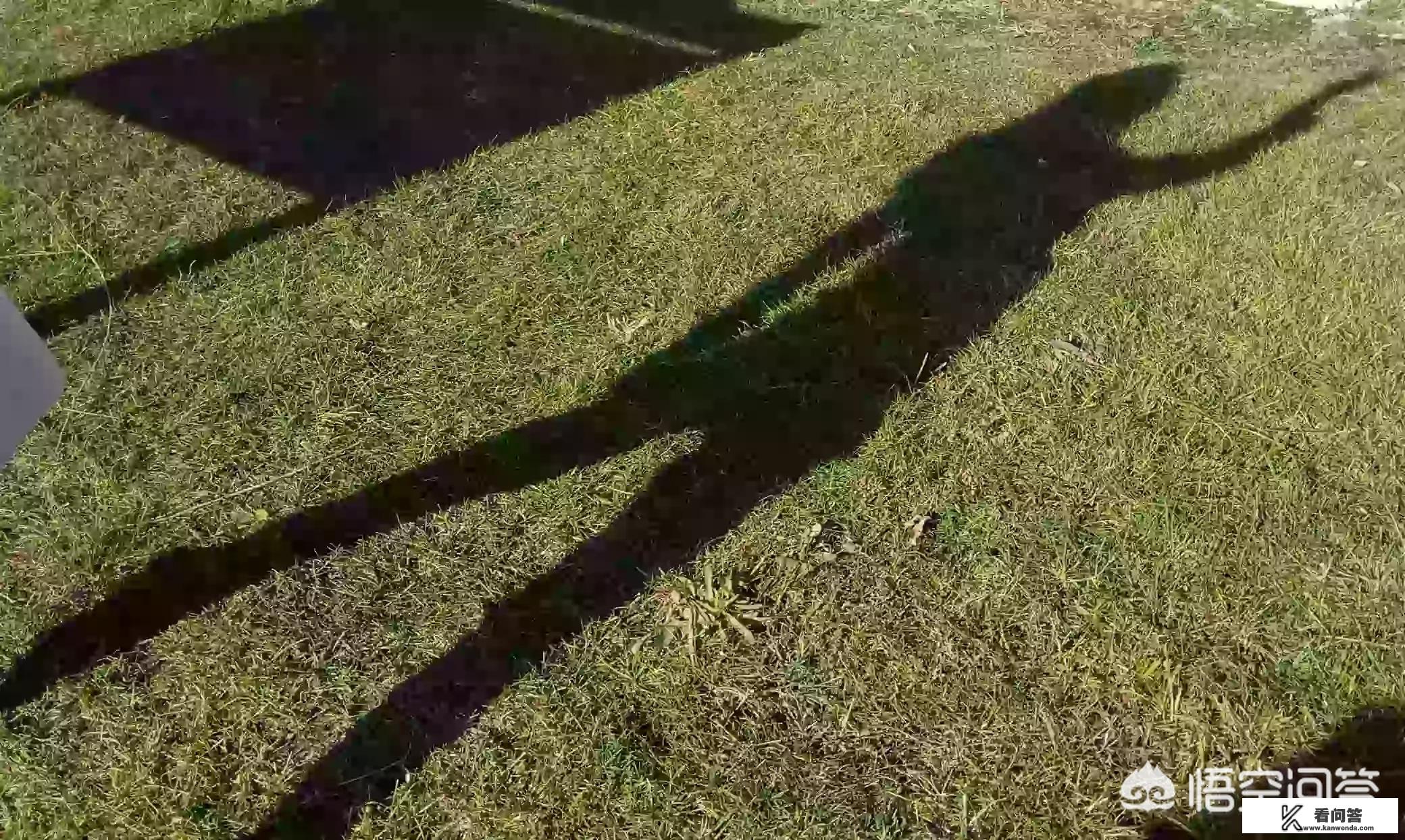 独特而高雅的旅行朋友圈文案