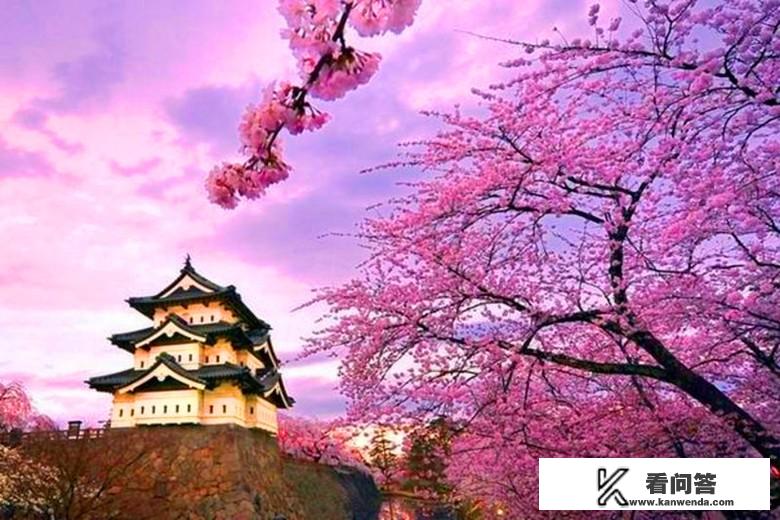 在日本两天，行程费用加吃住共预算一万人民币，可以享受到豪游吗？