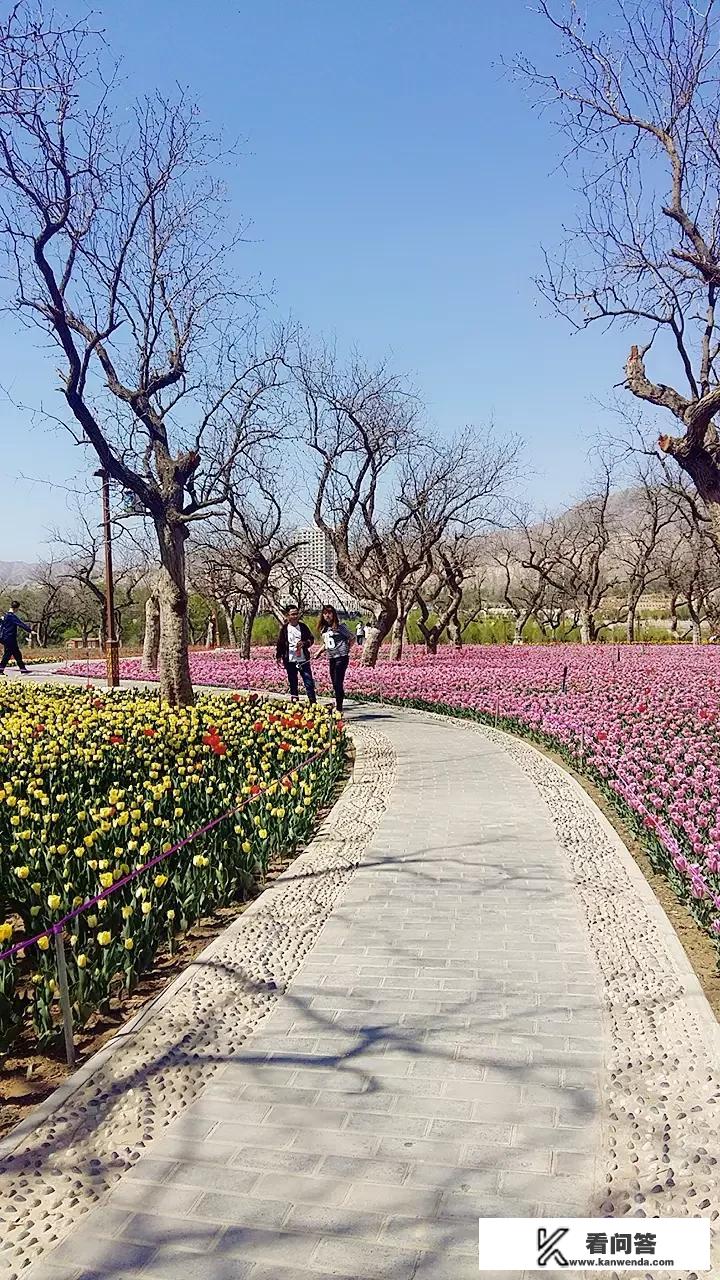 旅游类如何写出爆款微头条？