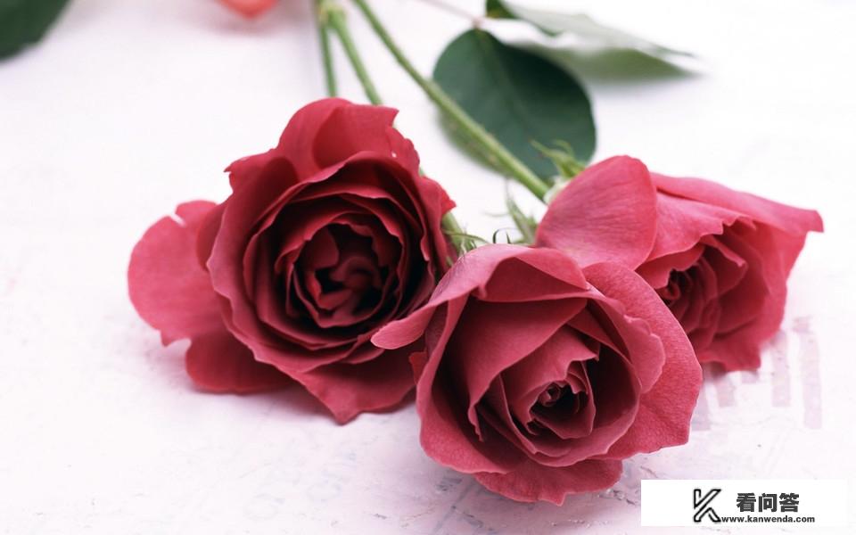 七夕游玩攻略？