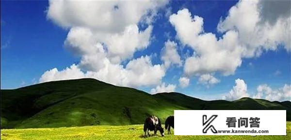 大连到内蒙古自驾游攻略？