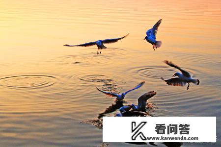 云南昆明旅游景点? 云南昆明旅游景点?