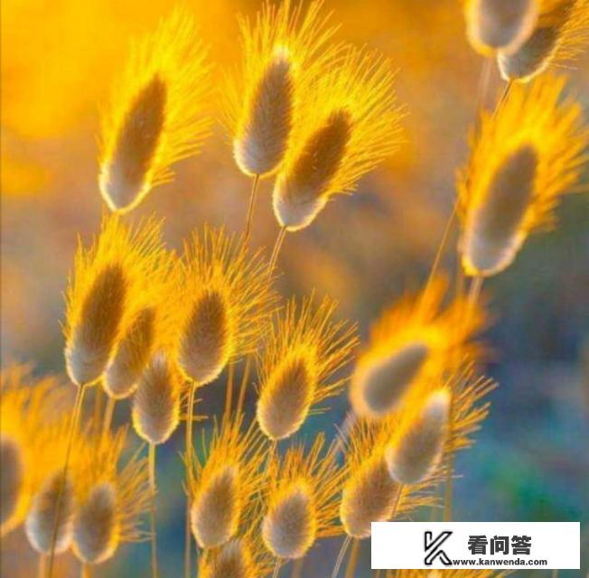 好邻居也是好姐妹的文案？