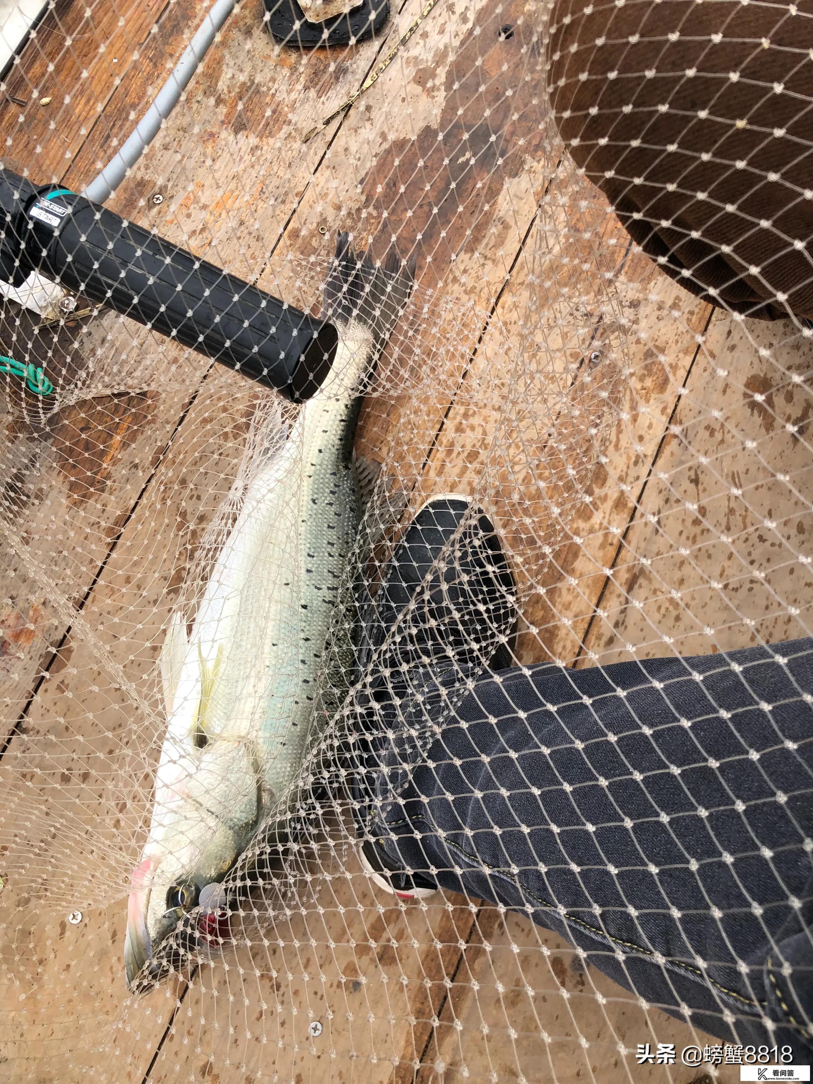 渔民小说排行榜前十名？