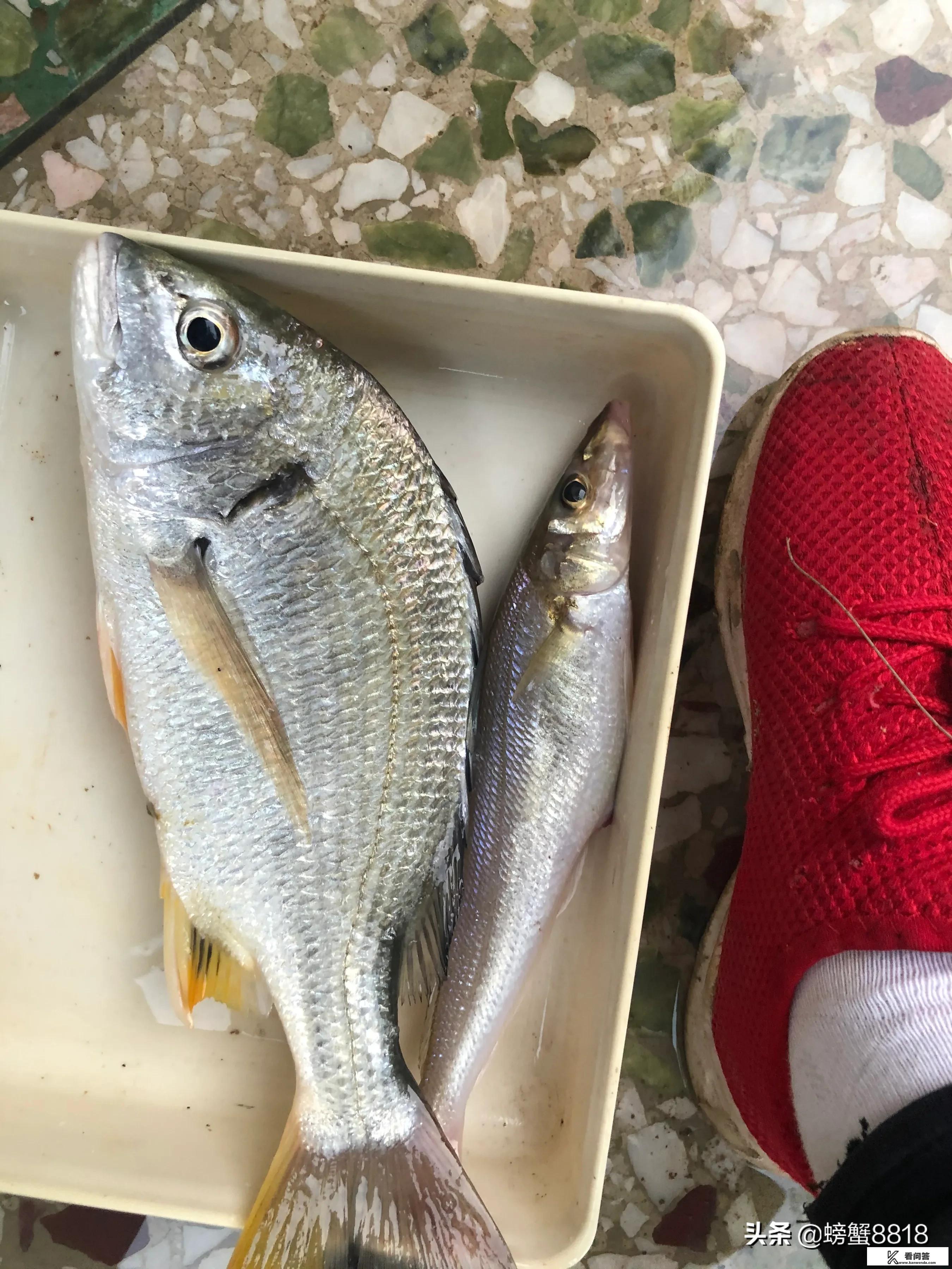 渔民小说排行榜前十名？