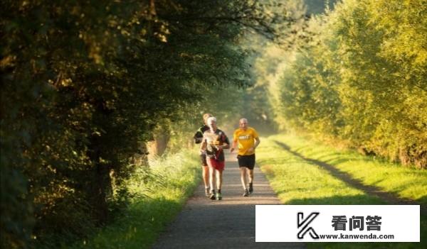 退休了想买辆豪越和爰人旅行可行吗，质量如何？