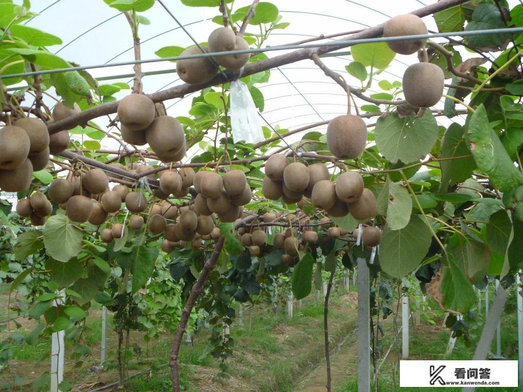 旅行是名词还是动词？