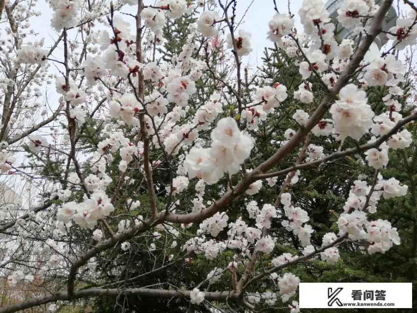 去外地,大数据会更新吗？