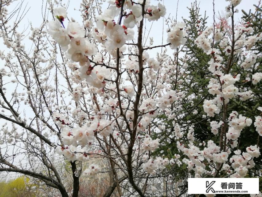 去外地,大数据会更新吗？