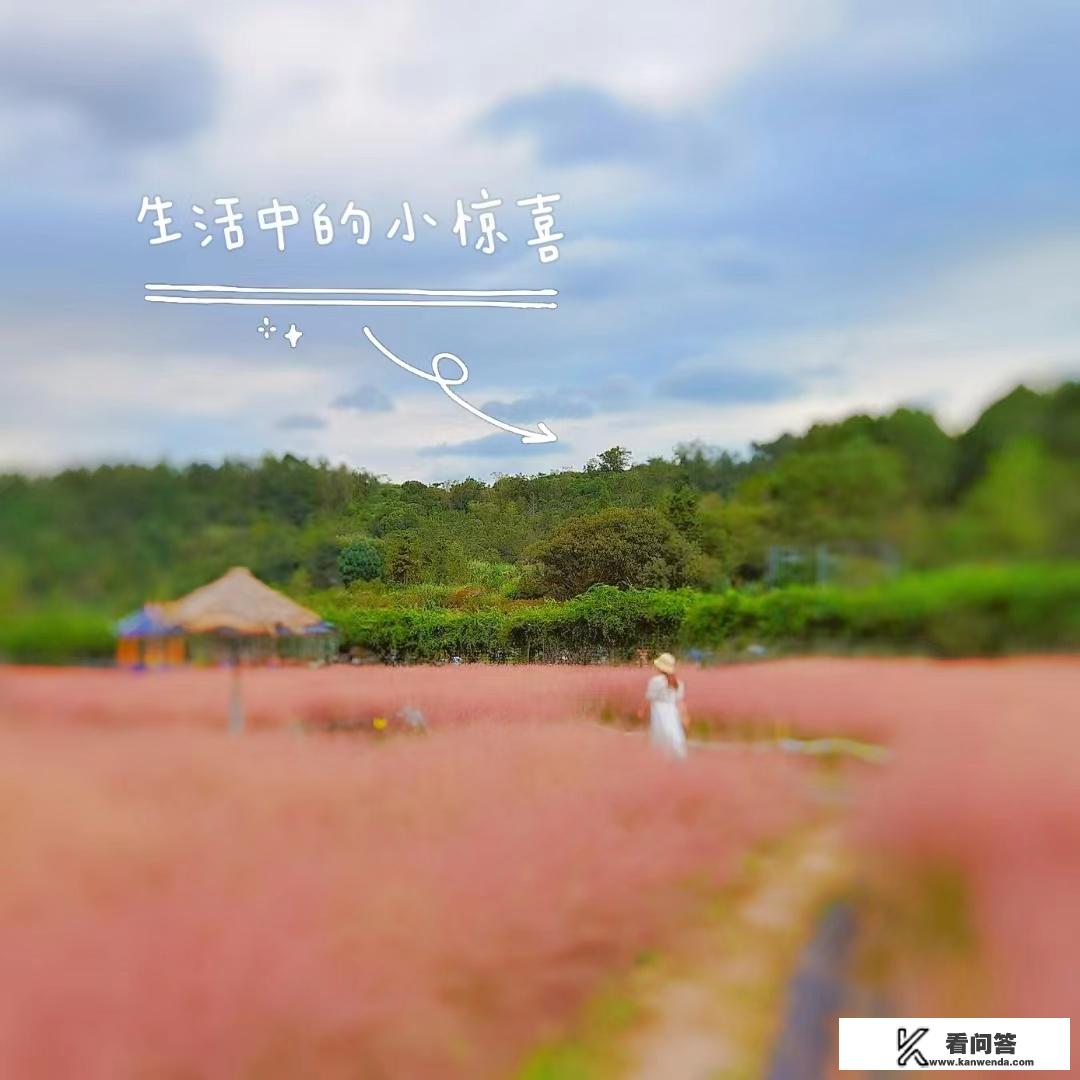 旅游背什么包合适？
