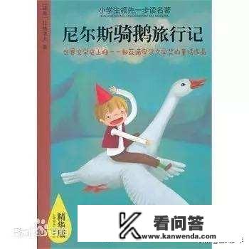 《骑鹅旅行记》中的小男孩变小后，生活中发生了什么样的变化？