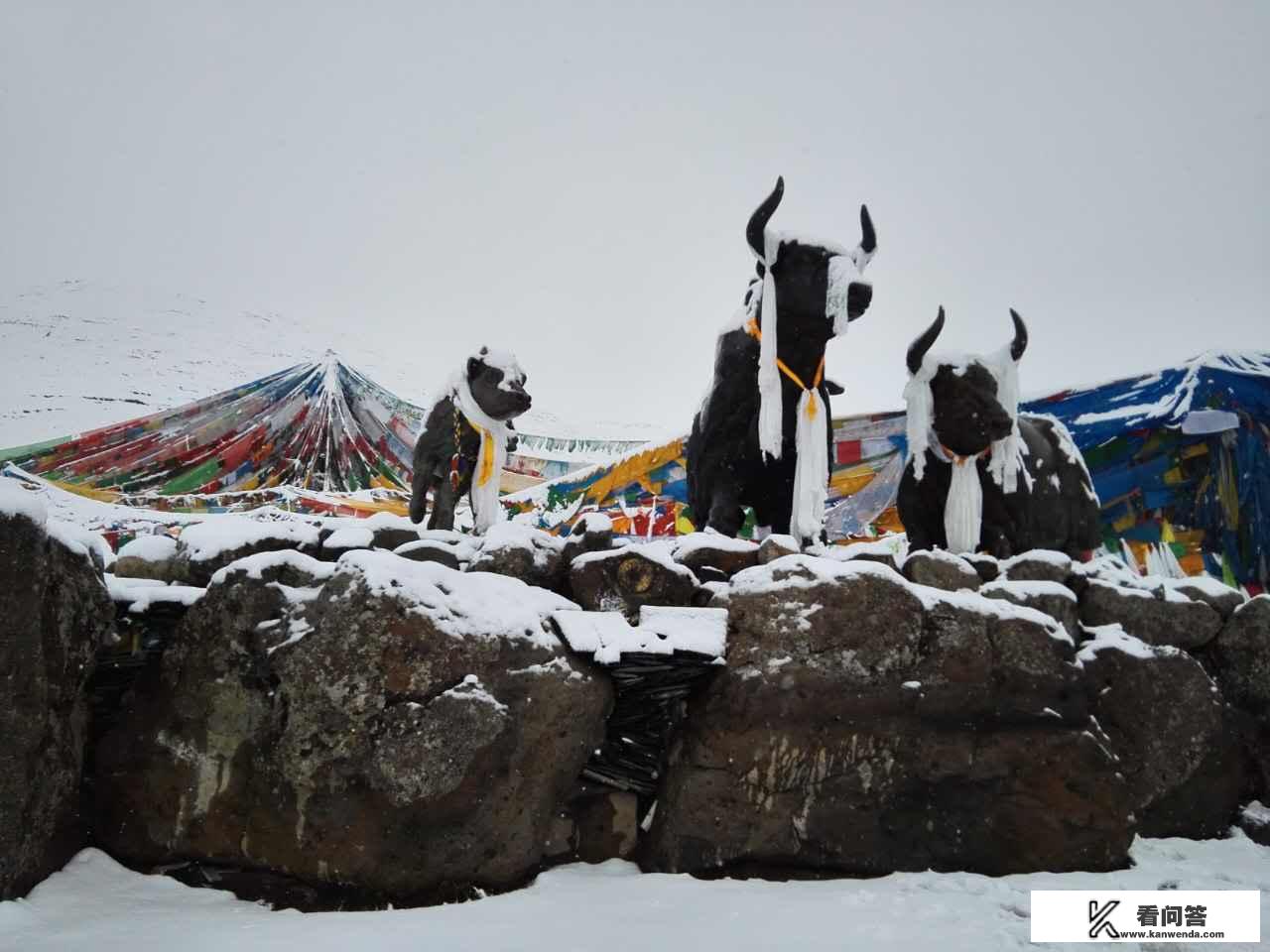 上海到拉萨旅游攻略? 上海到拉萨旅游攻略?