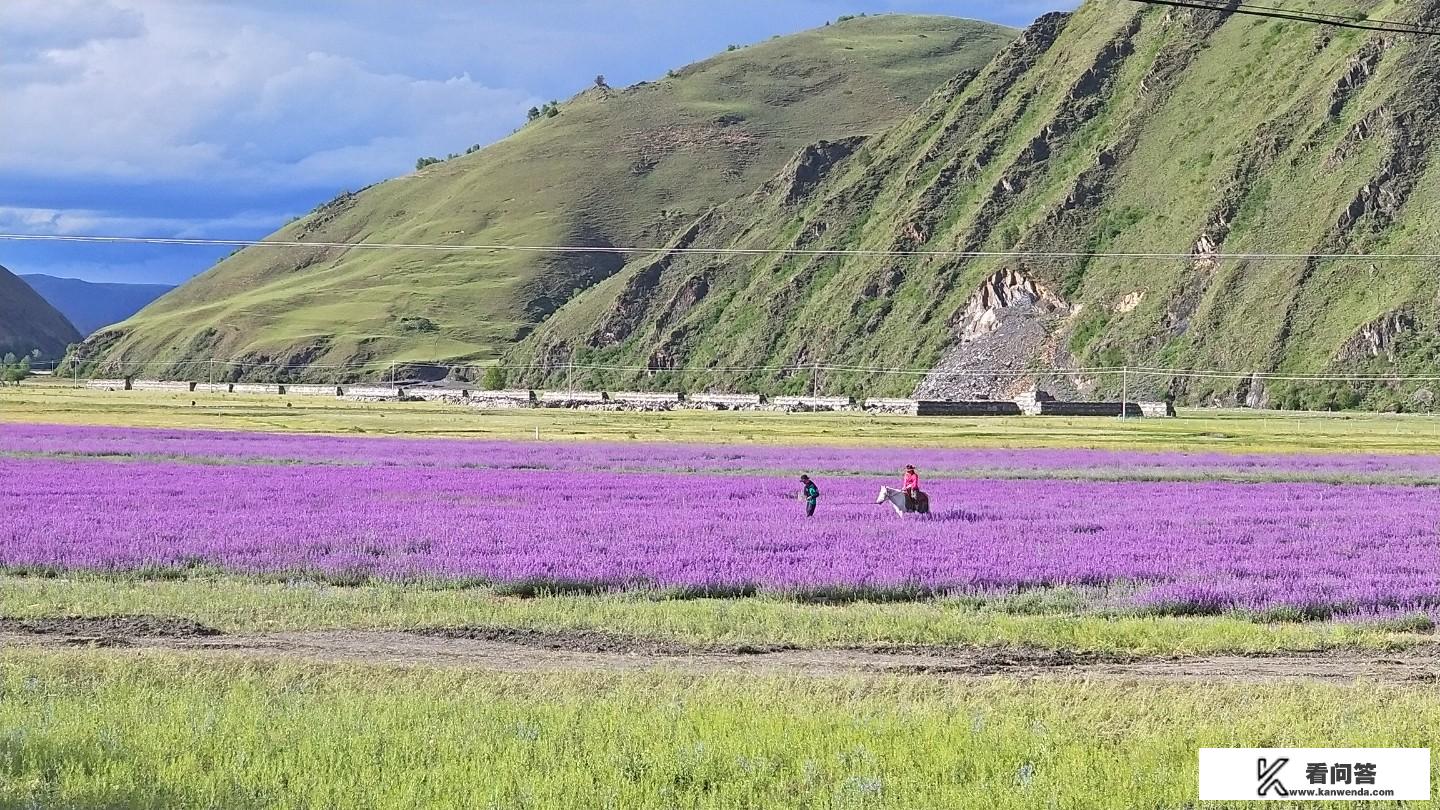 一般多远的算远途旅行？