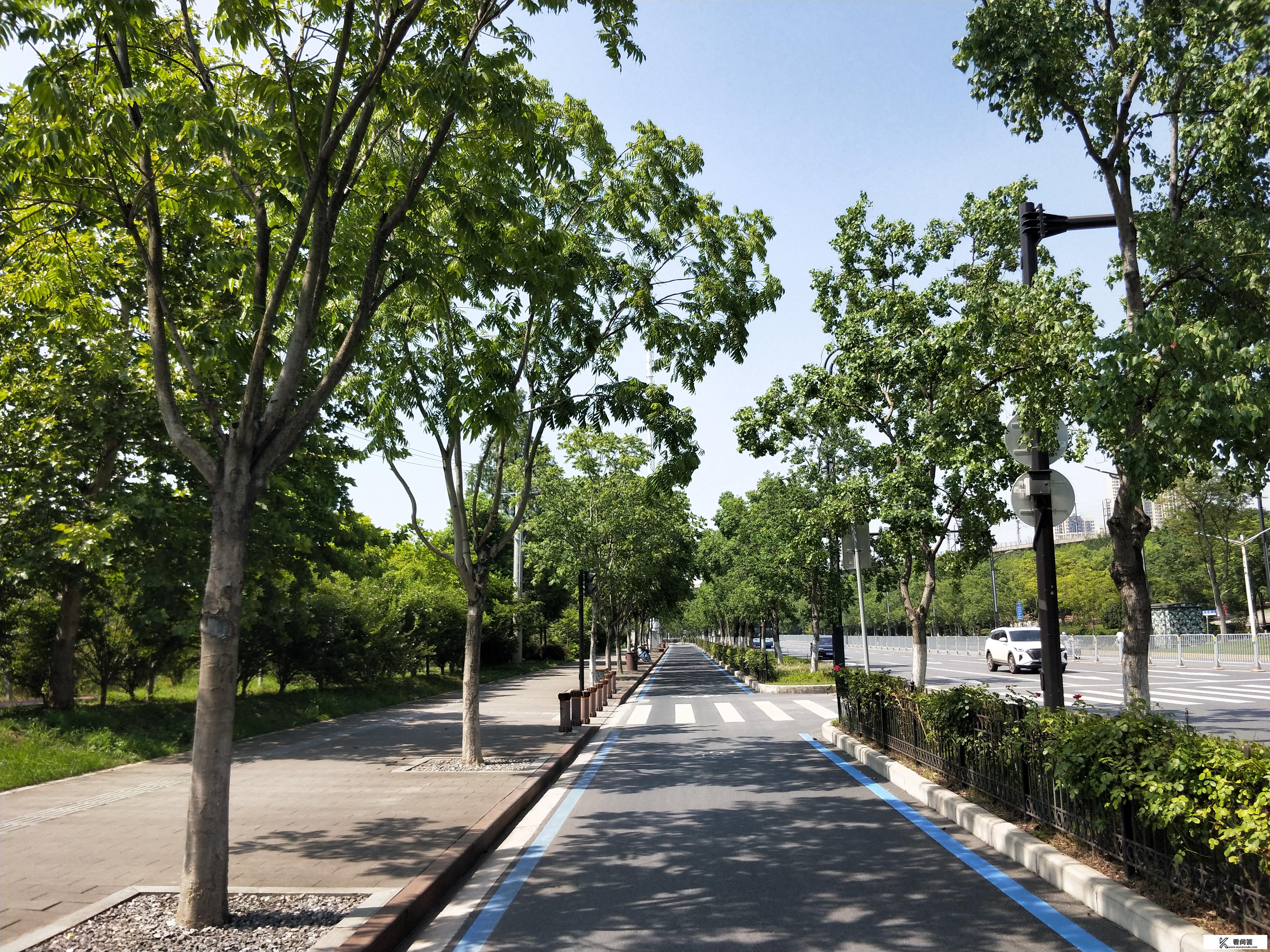 一般多远的算远途旅行？