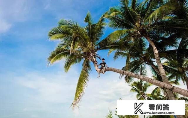 亲子旅游的精彩之旅 亲子旅游的理想三线城市