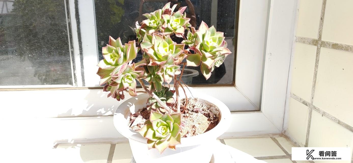 亲戚小孩喜欢玩游戏如何让他不玩？