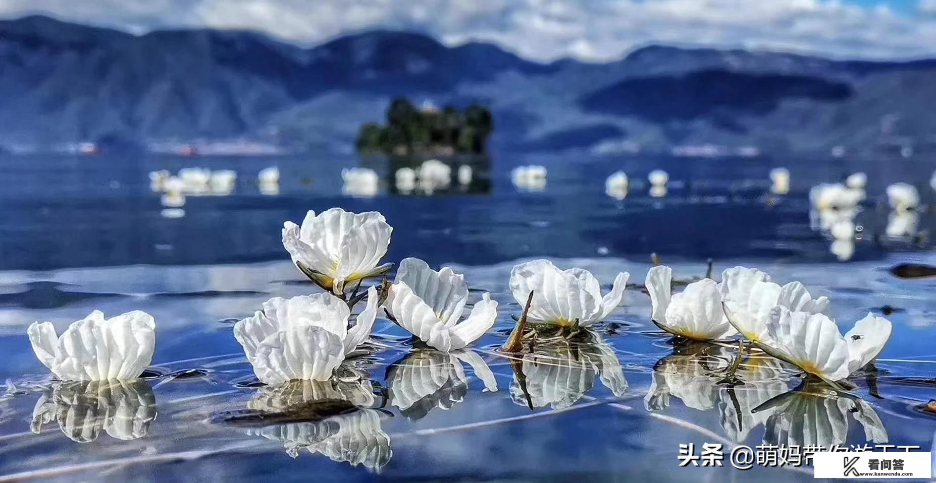 私人陪伴旅游主要有哪些服务？