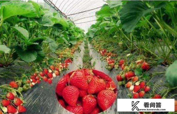 五一旅游花费大概多少？