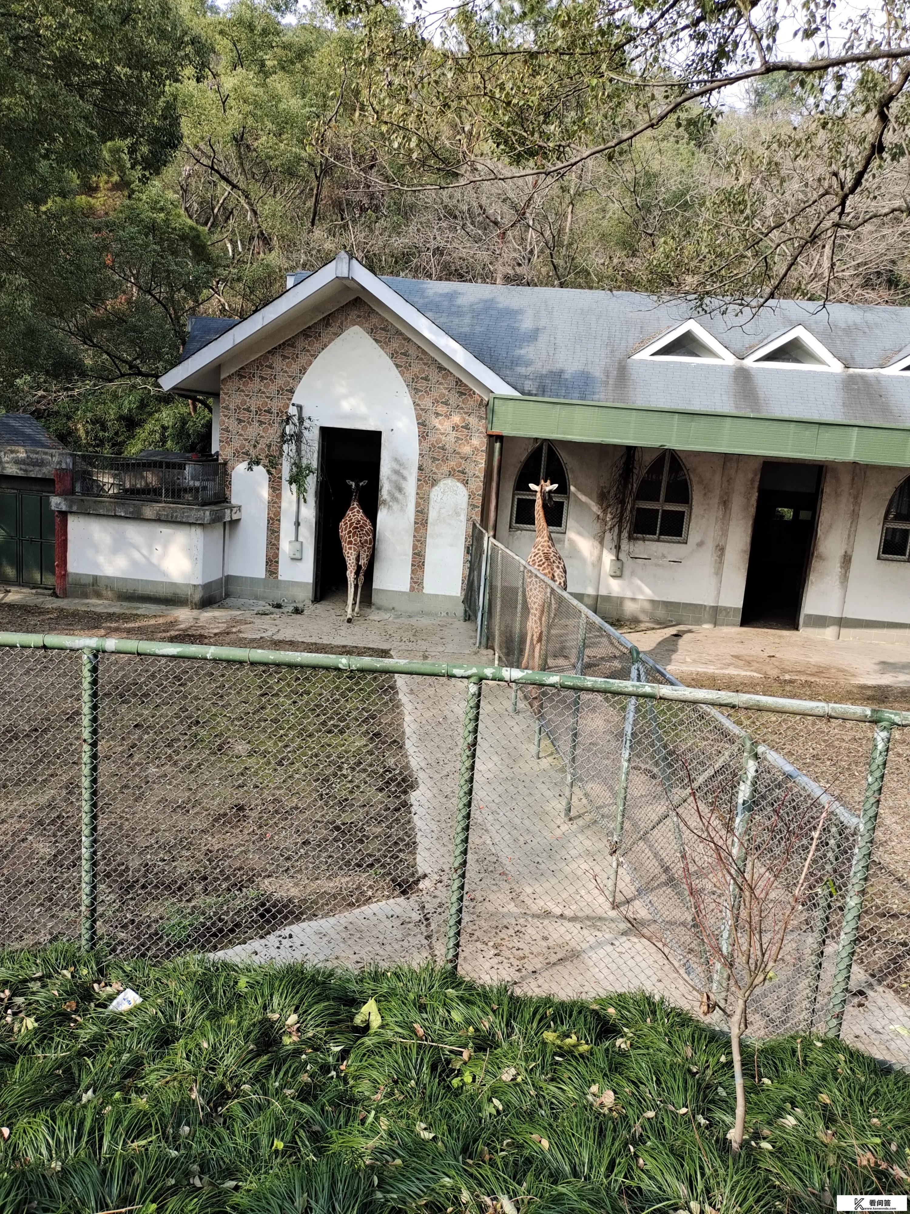 泰国旅行团购物点必须买东西吗？