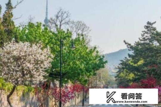 青岛旅游住宿攻略？