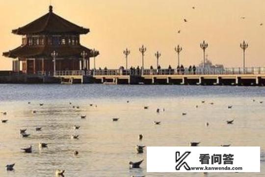 青岛旅游住宿攻略？