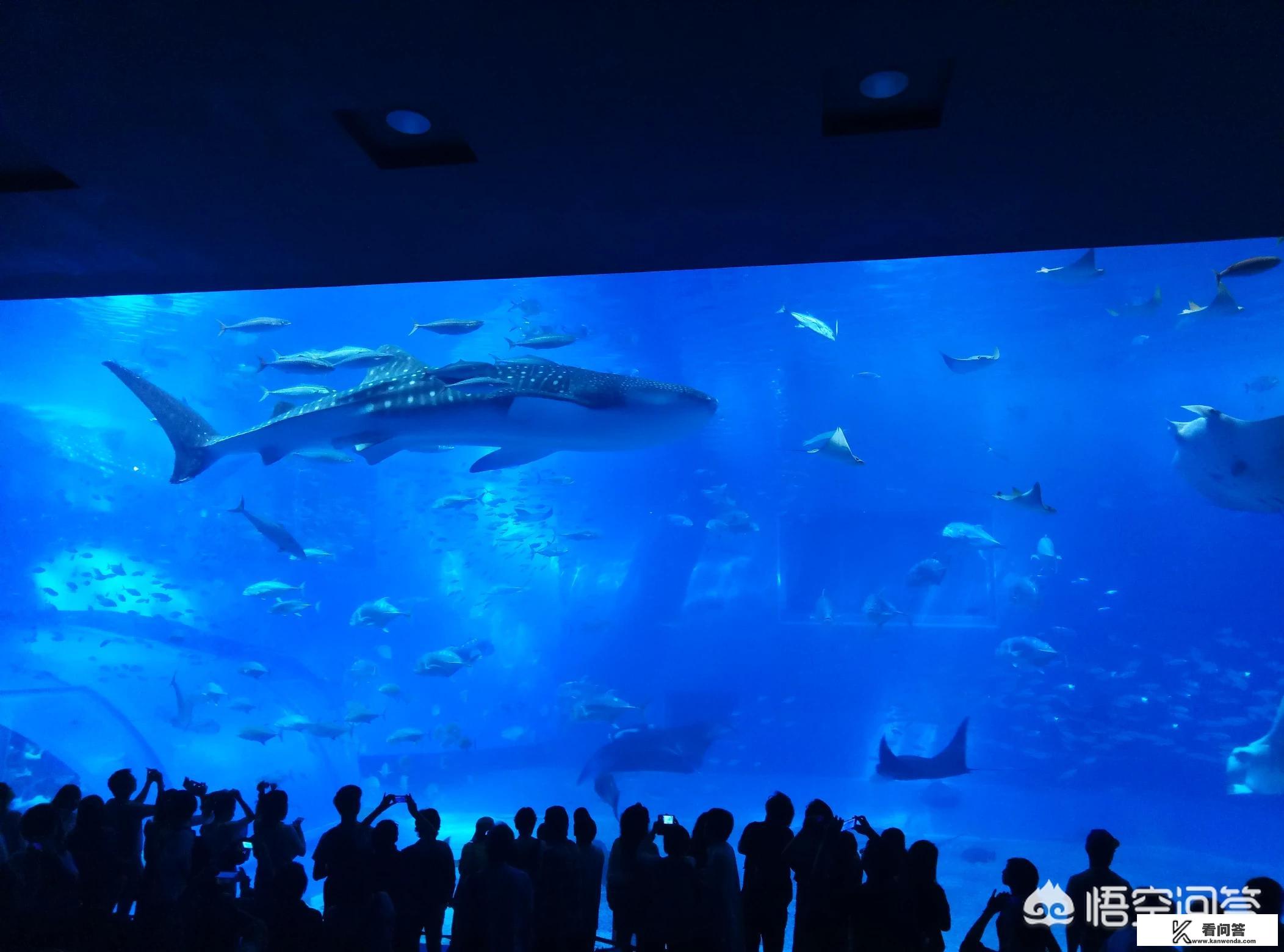 移动每个月最低消费额度没达到，那些剩下的能干嘛？