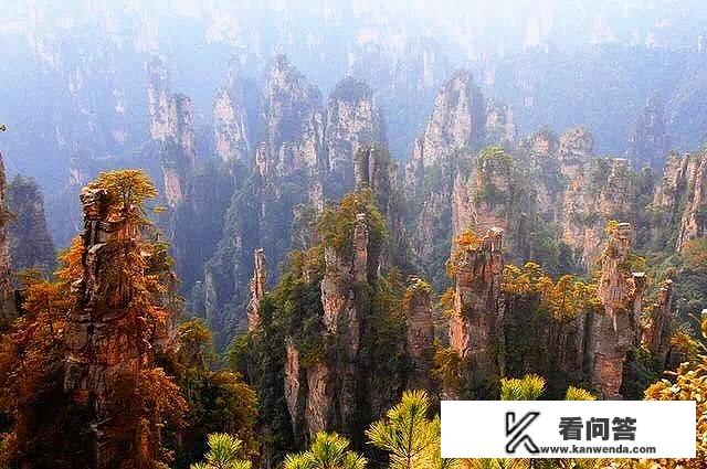 常德春节旅游攻略？