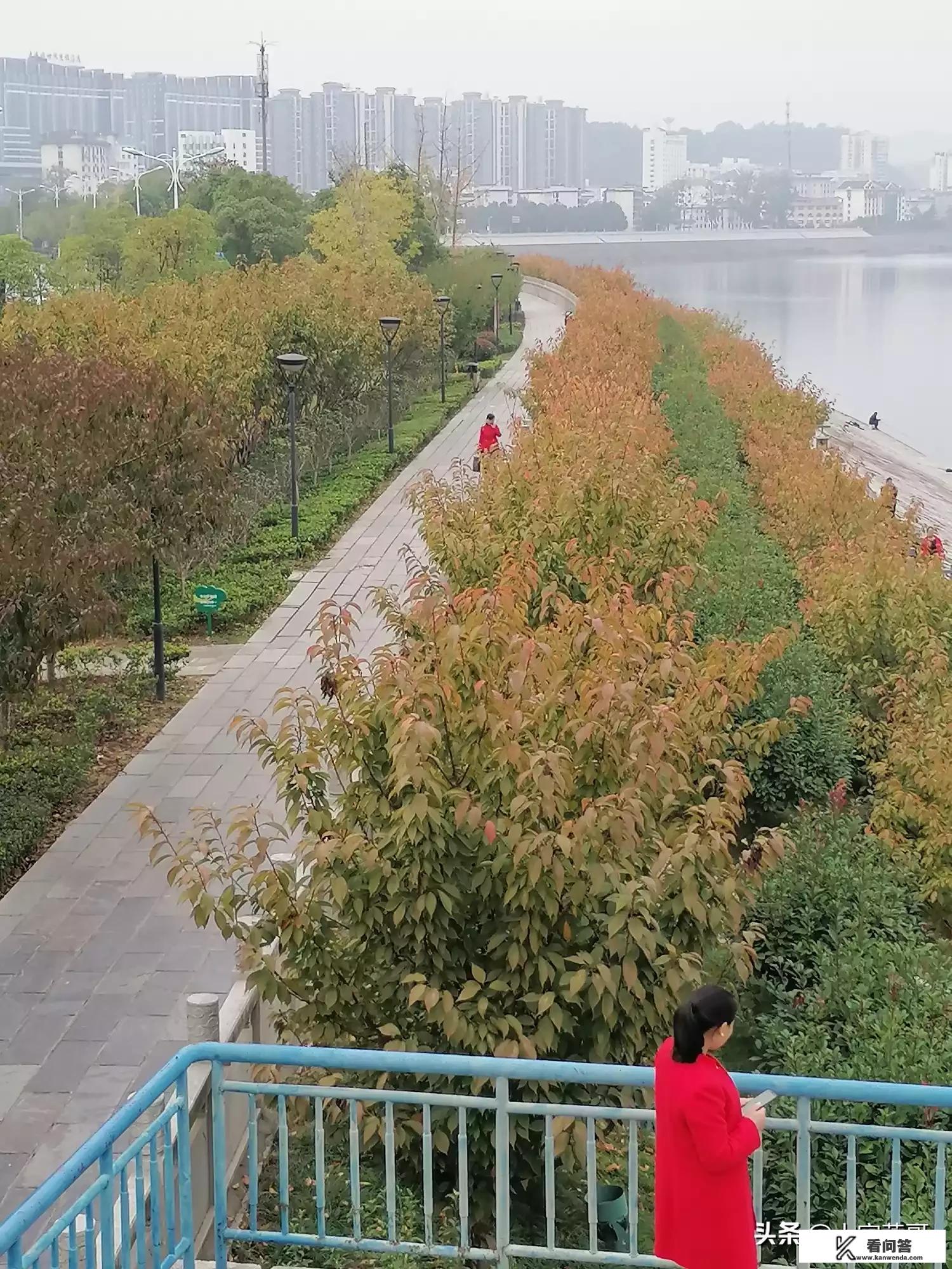 我们18人去公园游玩，一只小船能坐四人一列小火车，能做五人一辆碰碰车，能坐两人，你还能提出什么样的？