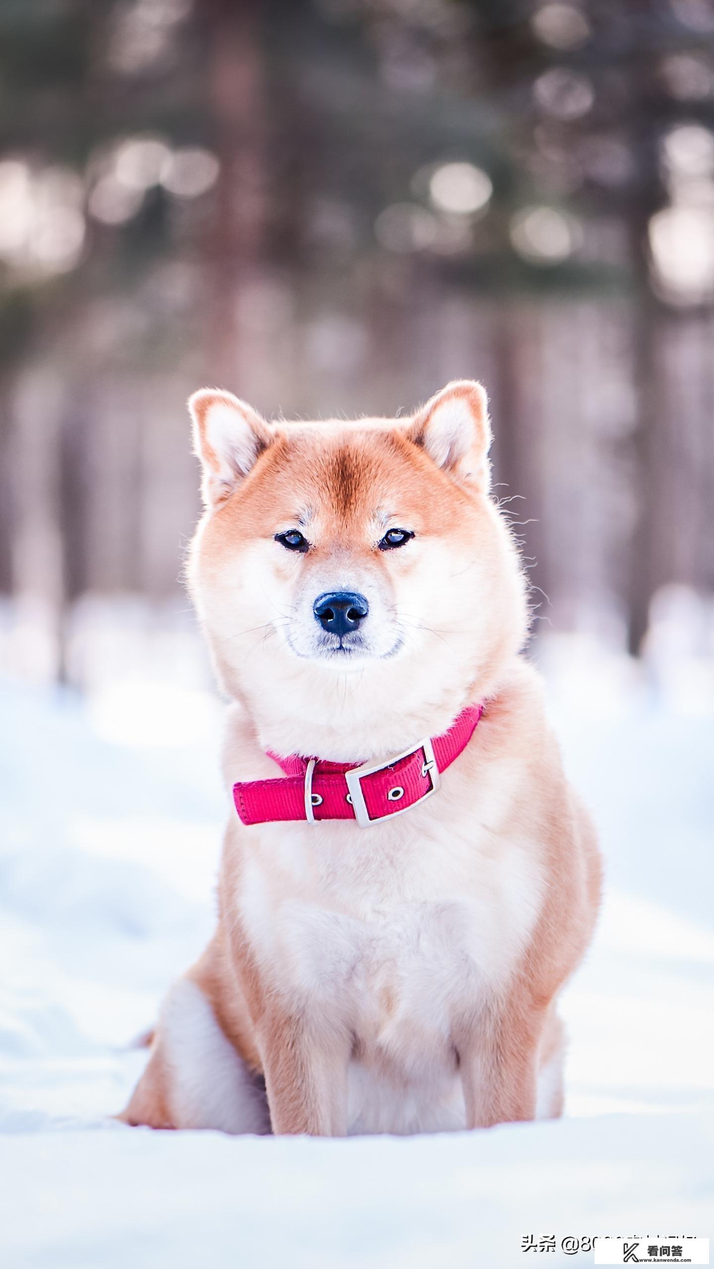 100人被关进巨型保险箱电影名？